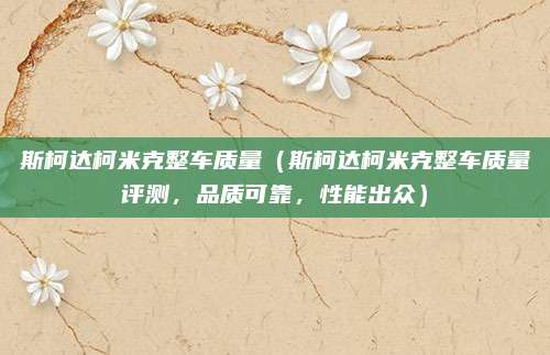 斯柯达柯米克整车质量(斯柯达柯米克整车质量评测,品质可靠,性能出众)