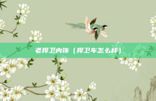 老捍卫内饰(捍卫车怎么样)