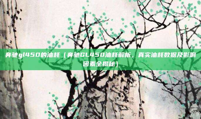奔驰gl450的油耗（奔驰GL450油耗解析，真实油耗数据及影响因素全揭秘）