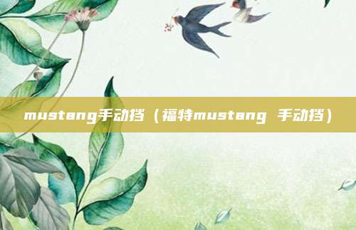 mustang手动挡(福特mustang 手动挡)