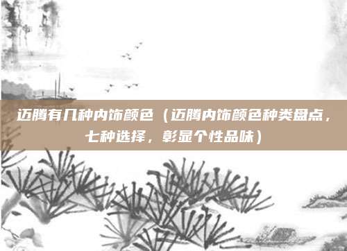 迈腾有几种内饰颜色（迈腾内饰颜色种类盘点，七种选择，彰显个性品味）