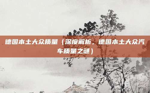 德国本土大众质量(深度解析,德国本土大众汽车质量之谜)