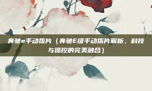 奔驰e手动拨片（奔驰E级手动拨片解析，科技与操控的完美融合）
