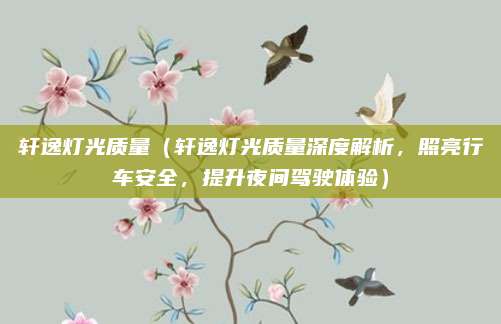 轩逸灯光质量（轩逸灯光质量深度解析，照亮行车安全，提升夜间驾驶体验）