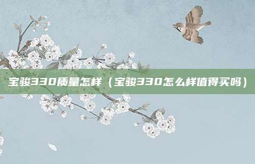宝骏330质量怎样(宝骏330怎么样值得买吗)