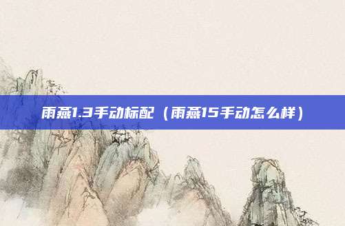 雨燕1.3手动标配(雨燕15手动怎么样)