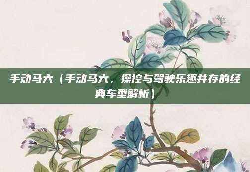 手动马六(手动马六,操控与驾驶乐趣并存的经典车型解析)