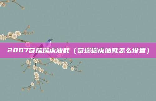 2007奇瑞瑞虎油耗（奇瑞瑞虎油耗怎么设置）