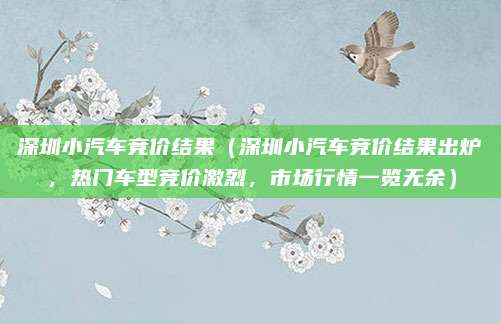 深圳小汽车竞价结果（深圳小汽车竞价结果出炉，热门车型竞价激烈，市场行情一览无余）