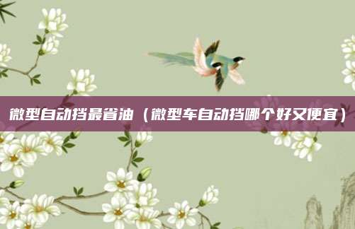 微型自动挡最省油(微型车自动挡哪个好又便宜)