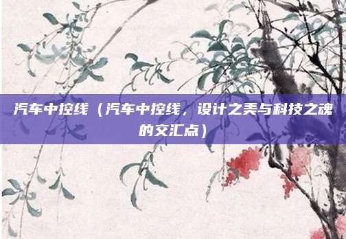 汽车中控线（汽车中控线，设计之美与科技之魂的交汇点）