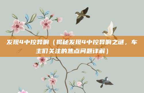 发现4中控异响（揭秘发现4中控异响之谜，车主们关注的焦点问题详解）