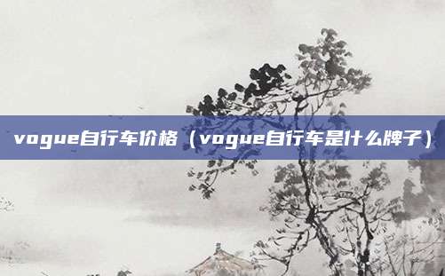 vogue自行车价格(vogue自行车是什么牌子)
