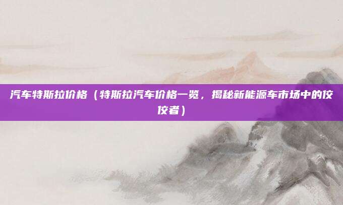 汽车特斯拉价格（特斯拉汽车价格一览，揭秘新能源车市场中的佼佼者）