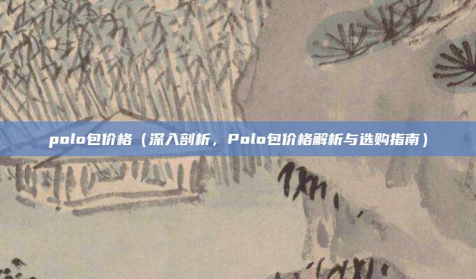 polo包价格（深入剖析，Polo包价格解析与选购指南）