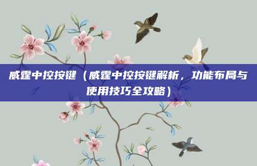 威霆中控按键（威霆中控按键解析，功能布局与使用技巧全攻略）