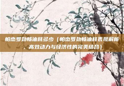 帕杰罗劲畅油耗多少（帕杰罗劲畅油耗表现解析，高效动力与经济性的完美结合）