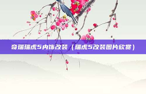 奇瑞瑞虎5内饰改装(瑞虎5改装图片欣赏)