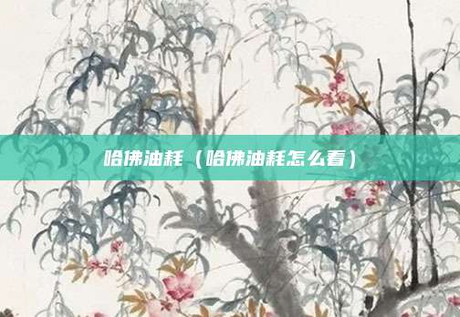 哈佛油耗(哈佛油耗怎么看)