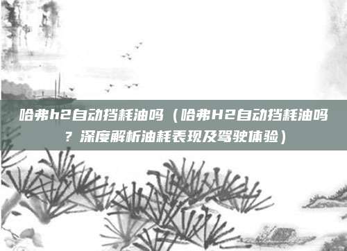 哈弗h2自动挡耗油吗（哈弗H2自动挡耗油吗？深度解析油耗表现及驾驶体验）