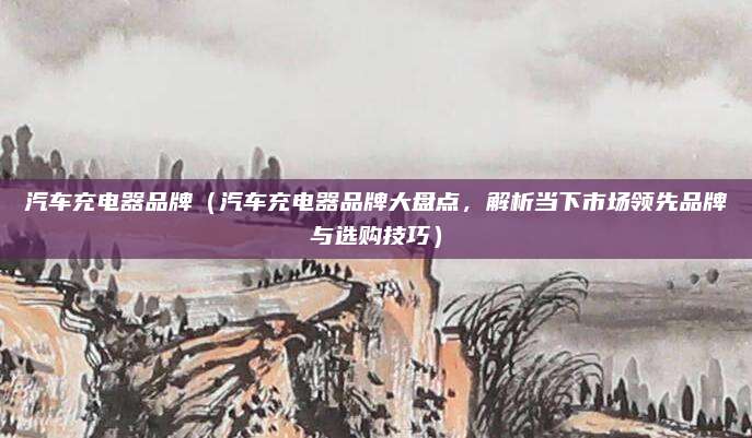 汽车充电器品牌(汽车充电器品牌大盘点,解析当下市场领先品牌与选购技巧)