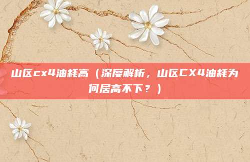 山区cx4油耗高（深度解析，山区CX4油耗为何居高不下？）