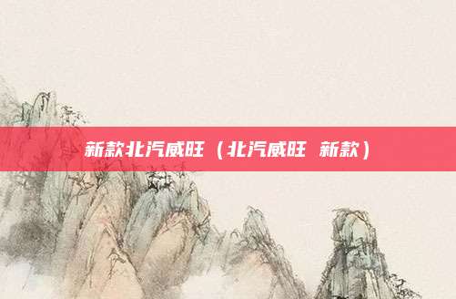 新款北汽威旺（北汽威旺 新款）