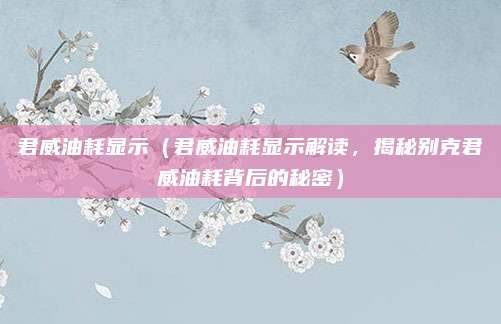 君威油耗显示(君威油耗显示解读,揭秘别克君威油耗背后的秘密)
