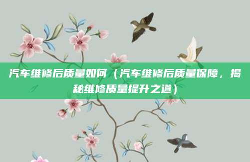 汽车维修后质量如何(汽车维修后质量保障,揭秘维修质量提升之道)