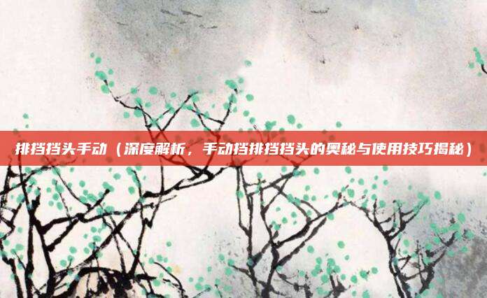 排挡挡头手动（深度解析，手动挡排挡挡头的奥秘与使用技巧揭秘）