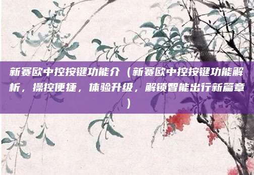新赛欧中控按键功能介(新赛欧中控按键功能解析,操控便捷,体验升级,解锁智能出行新篇章)