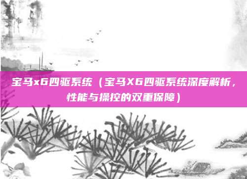 宝马x6四驱系统（宝马X6四驱系统深度解析，性能与操控的双重保障）