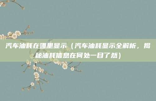 汽车油耗在哪里显示（汽车油耗显示全解析，揭秘油耗信息在何处一目了然）