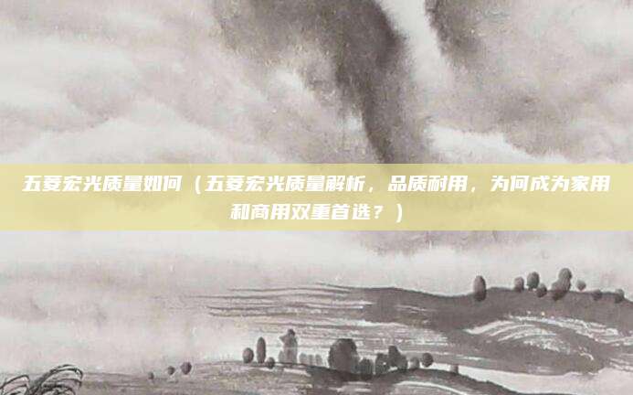 五菱宏光质量如何(五菱宏光质量解析,品质耐用,为何成为家用和商用双重首选?)