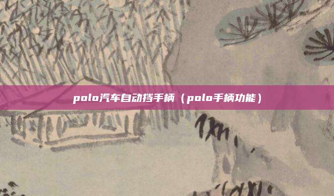 polo汽车自动挡手柄(polo手柄功能)