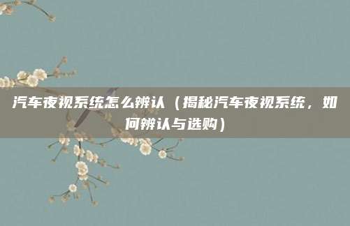 汽车夜视系统怎么辨认（揭秘汽车夜视系统，如何辨认与选购）