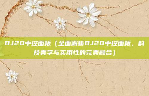BJ20中控面板（全面解析BJ20中控面板，科技美学与实用性的完美融合）