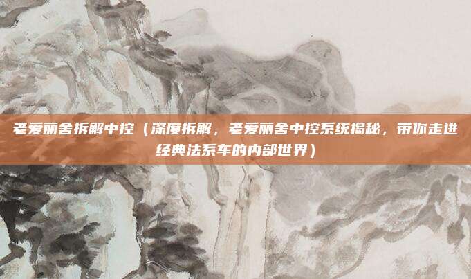 老爱丽舍拆解中控(深度拆解,老爱丽舍中控系统揭秘,带你走进经典法系车的内部世界)