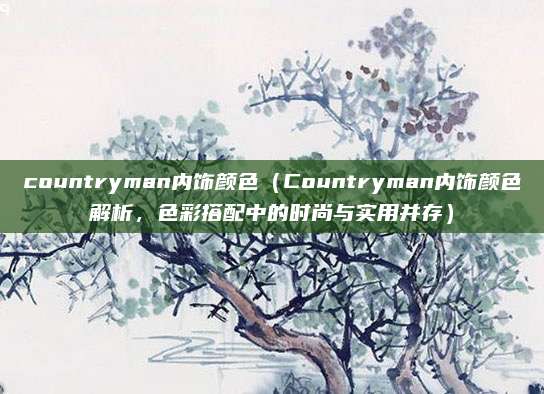 countryman内饰颜色(Countryman内饰颜色解析,色彩搭配中的时尚与实用并存)