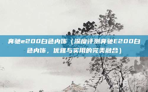 奔驰e200白色内饰（深度评测奔驰E200白色内饰，优雅与实用的完美融合）