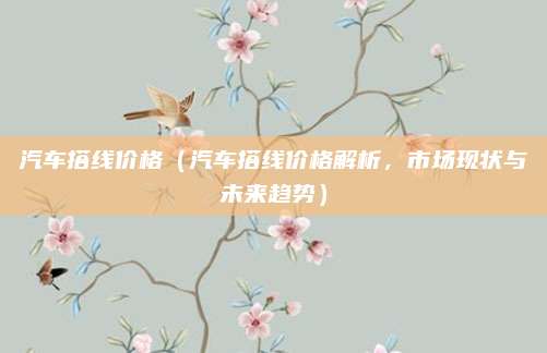 汽车搭线价格(汽车搭线价格解析,市场现状与未来趋势)