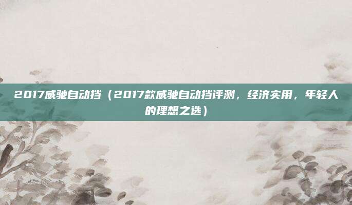 2017威驰自动挡（2017款威驰自动挡评测，经济实用，年轻人的理想之选）