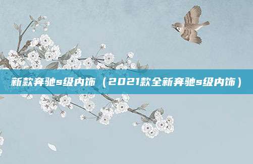 新款奔驰s级内饰(2021款全新奔驰s级内饰)