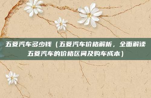 五菱汽车多少钱（五菱汽车价格解析，全面解读五菱汽车的价格区间及购车成本）