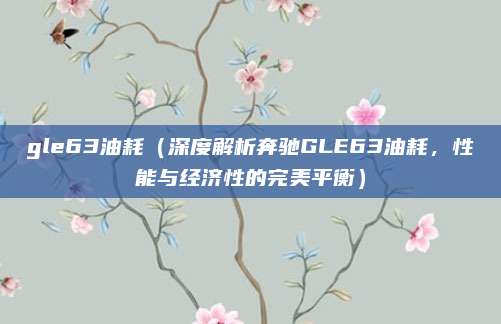 gle63油耗（深度解析奔驰GLE63油耗，性能与经济性的完美平衡）