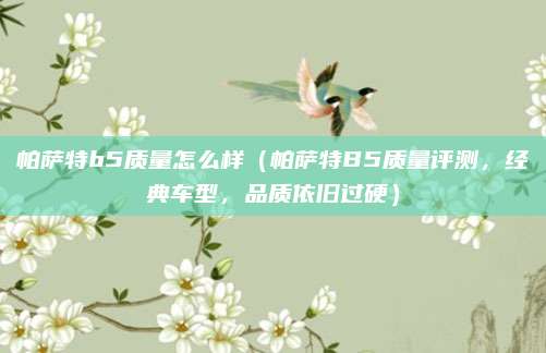 帕萨特b5质量怎么样(帕萨特B5质量评测,经典车型,品质依旧过硬)