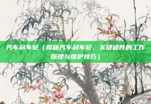 汽车刹车轮（揭秘汽车刹车轮，关键部件的工作原理与维护技巧）