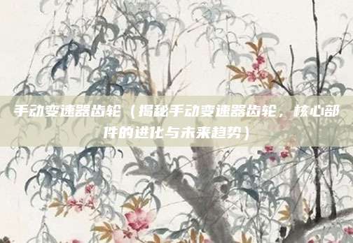 手动变速器齿轮（揭秘手动变速器齿轮，核心部件的进化与未来趋势）