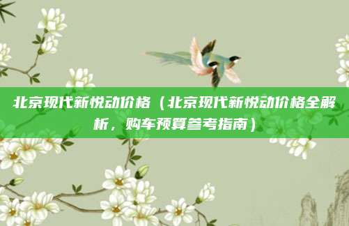北京现代新悦动价格(北京现代新悦动价格全解析,购车预算参考指南)