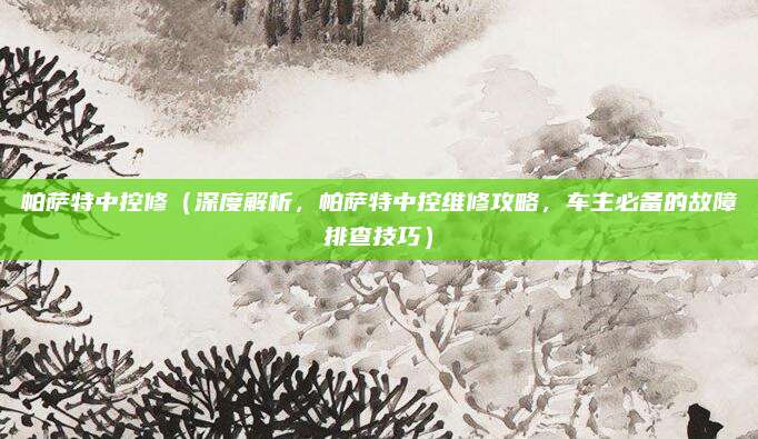 帕萨特中控修（深度解析，帕萨特中控维修攻略，车主必备的故障排查技巧）